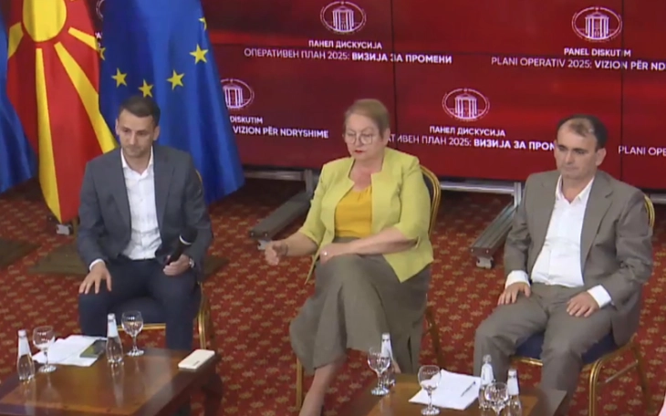 2025 Operational Plan targets young people, people at social risk: panel