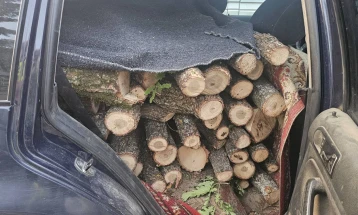 Лишени од слобода дрвокрадци во скопско, дрвата и возилото се одземени