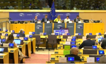 Одложувањето на гласањето на предлог-извештајот во АФЕТ голема победа на македонската дипломатија, порачаа амбасадорите Боцевски и Јолевски