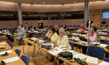 Пешевска на работилница „Остварување на еднаквите можности меѓу жените и мажите во и од парламентите“ во Хелсинки