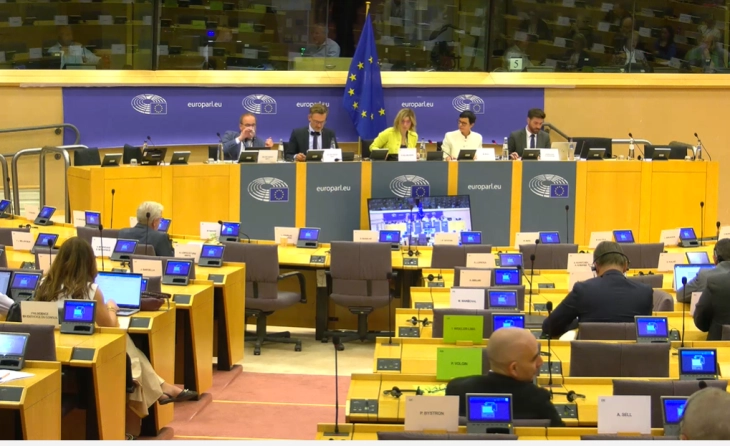 AFET postponing vote on country's draft report a major victory of Macedonian diplomacy: ambassadors