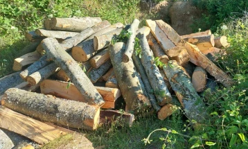 Регионалниот центар за гранични работи Исток расчисти случаи на кражба на огревно дрво и незаконски транспорт на дрва