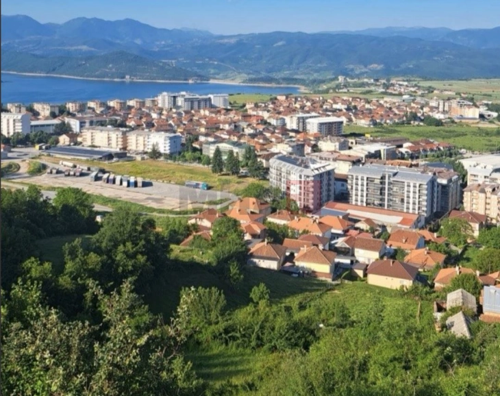 Во Дебар утревечер ќе се запрашува против комарци, пчеларите да ги заштитат пчелите