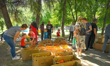 Со донација на 2000 садници сезонско цвеќе ТИТАН Усје го одбележа Светскиот ден на животната средина – 5 ти јуни