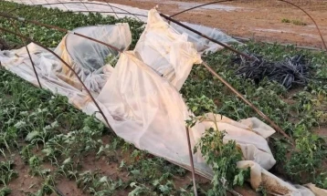 Вчерашното невреме предизвика големи штети во струмичко