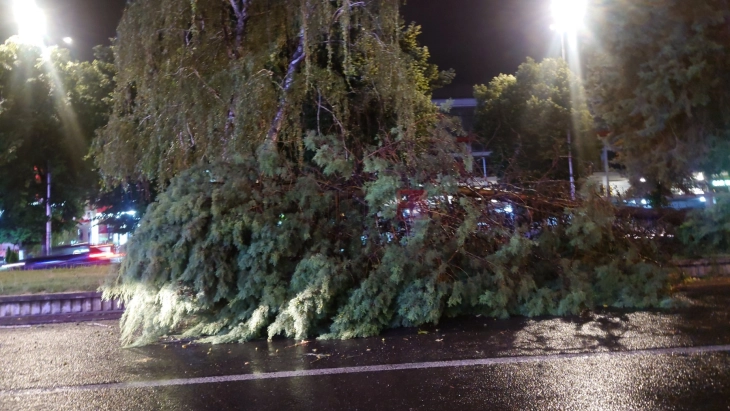 Паднати дрвја, заглавени возила, сообраќајни пречки и поплавени дел од улиците во Скопје 