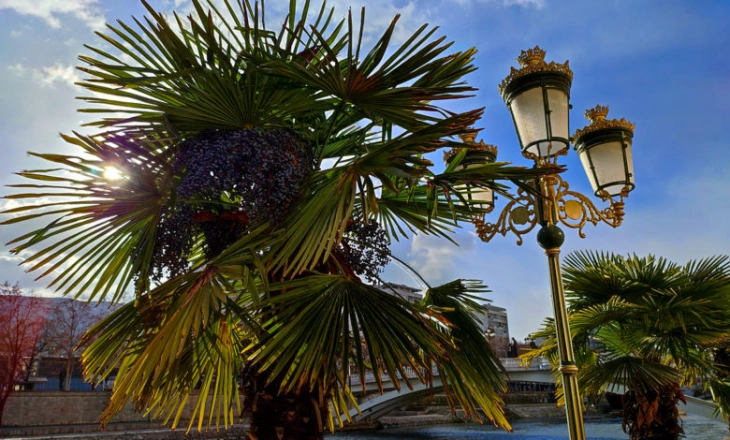 Weather: Sunny and hot, temps up to 37C