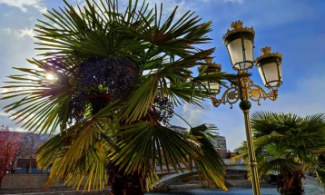 Weather: Sunny and hot, temps up to 37C