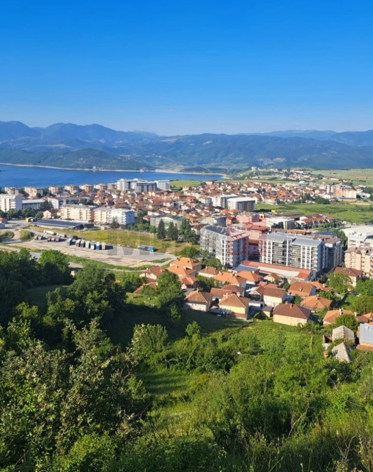 Одложеното запрашување против комарци во Дебар, ќе се реализира утревечер, пчеларите да ги заштитат пчелите