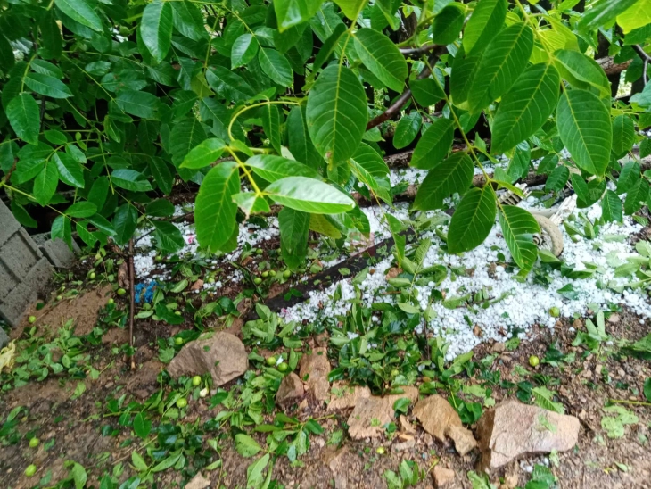 Во Берово започна пријавувањето за штети од невремето со врнежи од град