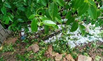 Во Берово започна пријавувањето за штети од невремето со врнежи од град