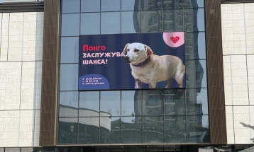 Слики на кучињата од градското прифатилиште ЈП „Лајка – Скопје