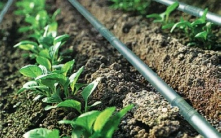 МЗШВ: Објавени три јавни повици за финансиска поддршка на руралниот развој за 2025 година