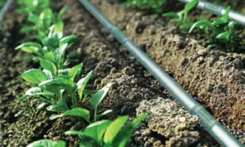 МЗШВ: Објавени три јавни повици за финансиска поддршка на руралниот развој за 2025 година