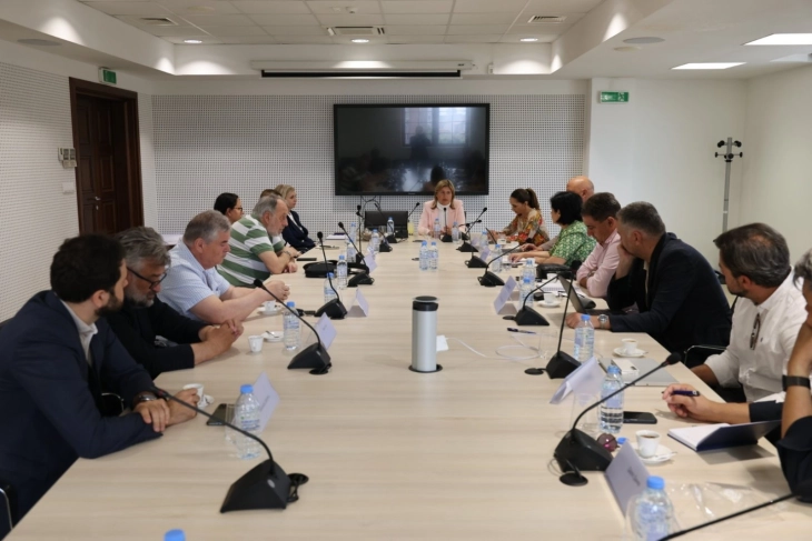 Формирано советодавно тело од експерти во Министерството за енергетика