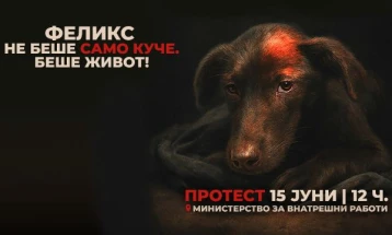 Здруженија за заштита на животни организираат протест пред Министерството за внатрешни работи