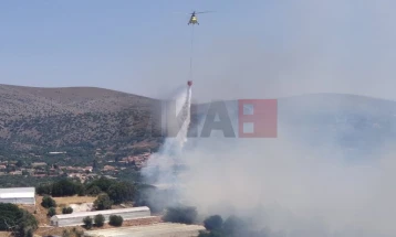 Shpallet gjendje e jashtëzakonshme në ishullin grek Hios për shkak të zjarreve