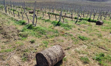 Влада: Исплатени субвенции на над 70.000 земјоделци во вредност од над девет милијарди денари