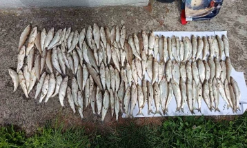 Запленети мрежи со риба и риболовен алат на Охридското Езеро