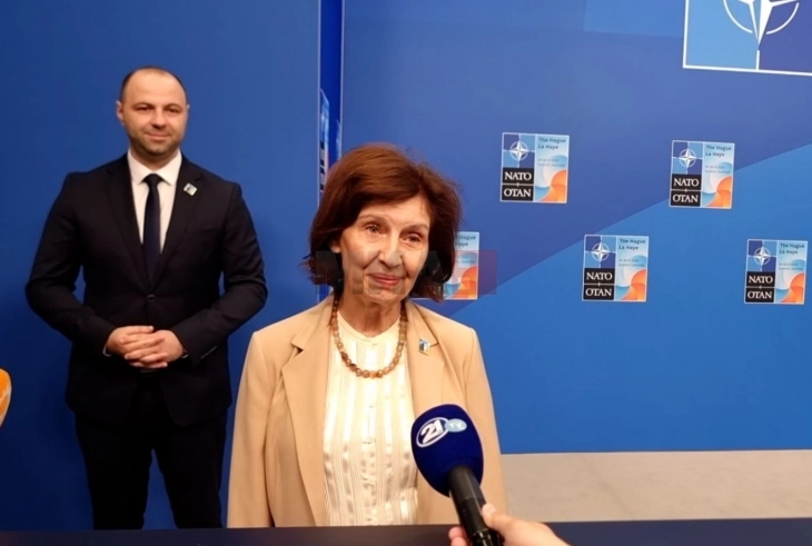 Siljanovska - Davkova mbërriti në takimin e Këshillit të NATO-s