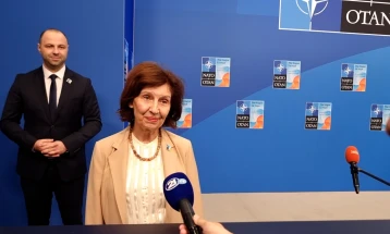 Сиљановска-Давкова имала пријатен разговор со Жељазков во Хаг, но е изненадена од амандманите на бугарските европратеници на извештајот на Вајц