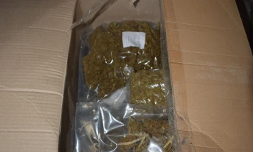 Запленети над два тона сув цвет од канабис од објект на правно лице во Зелениково  