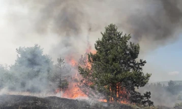 Lipkovo fire extinguished