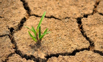 Еко активисти незадоволни од текот на климатските преговори во Бон