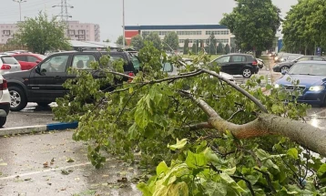 Drunj të rënë dhe rrugë të vërshuara për shkak të motit të ligë në Tetovë