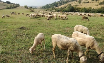 МЗШВ: Објавен јавен повик за надомест на трошоци за одржување на висински пасишта и ливади и поддршка на традиционално сточарство