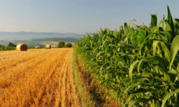 Италија во следните три години ќе издаде половина милион визи за странски работници од земји надвор од ЕУ