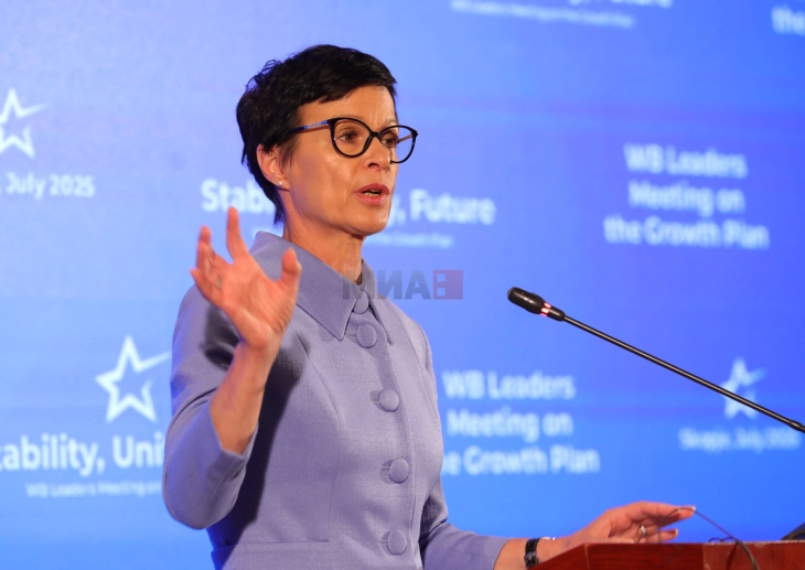 Кос: Членството во ЕУ е најдобар начин да се заштити идентитетот, културата и јазикот на Македонците