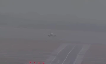 Бурата во Сиднеј соборуваше дрвја, илјадници домови без струја, откажани многу летови