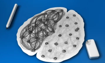 Нова студија открива високи нивоа на Алцхајмеров протеин кај новороденчиња