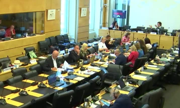 Комитет на ОН за човекови права: Македонија добро се справува со дискриминацијата, но има извешати за зачестени напади врз новинари