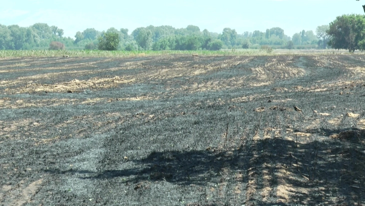 Во Светиниколско регистрирани два пожари