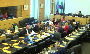 Komiteti i KB-së për të drejtat e njeriut: Maqedonia po përballet mirë me diskriminimin, por ka raporte për sulme të shpeshtuara ndaj gazetarëve