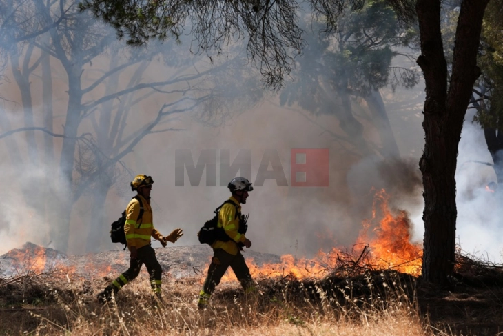 Две лица загинаа во шумски пожар во Шпанија