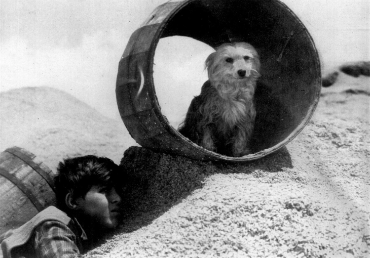 Cinematheque to screen shorts by Macedonian writers