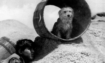 Cinematheque to screen shorts by Macedonian writers