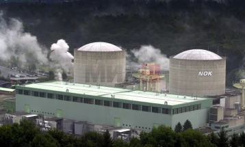 Реактор во нуклеарна централа во Швајцарија исклучен поради топла речна вода