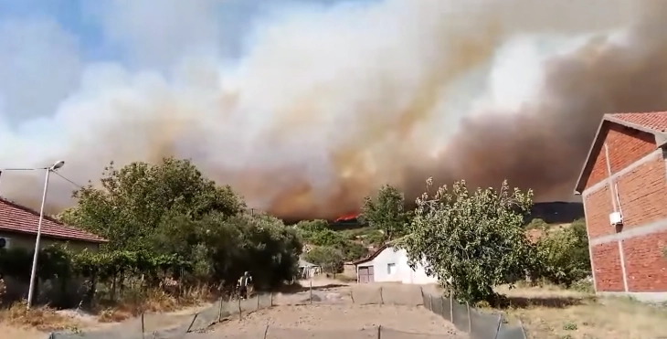 Valandovo wildfire spreading in two directions after being reignited by wind 