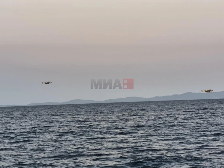 Градоначалникот на Ситонија: Под контрола е пожарот во регионот на Вурвуру на Халкидики