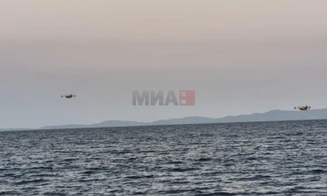 Градоначалникот на Ситонија: Под контрола е пожарот во регионот на Вурвуру на Халкидики