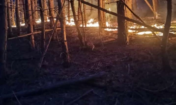 Гори мешана шума во Длабочица, општина Старо Нагоричане