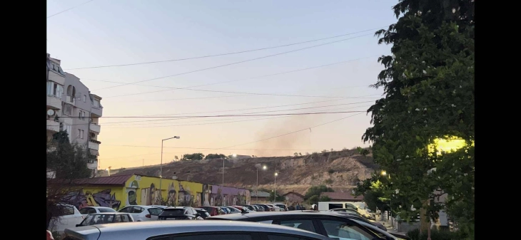 Жители од „Панче Пешев“ Куманово бараат трајно решение за палењето отпад