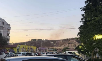 Жители од „Панче Пешев“ Куманово бараат трајно решение за палењето отпад