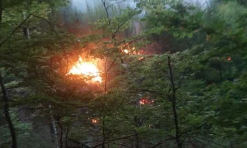 Гори мешана шума во Длабочица, општина Старо Нагоричане (ДПЛ)