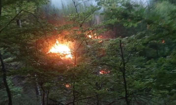 Një pyll i përzier po digjet në Dllaboçicë, komuna e Nagoriçanit të Vjetër (PLT)