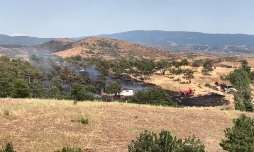 Во шумски пожар во Кочани изгореа една куќа и петнаесетина хектари зимзелена и нискостеблеста шума